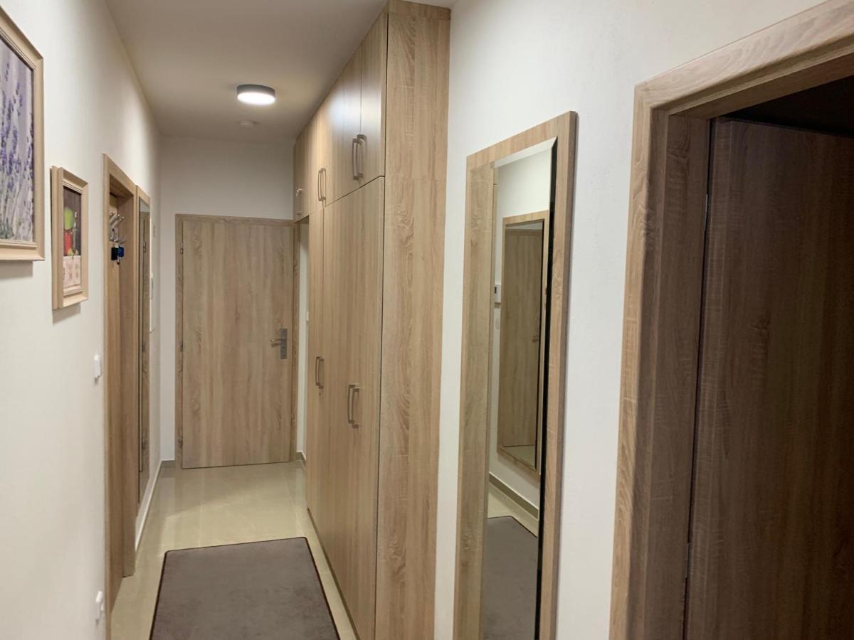 Železná Ruda Apartment Rezidence - Javor & Wellness מראה חיצוני תמונה