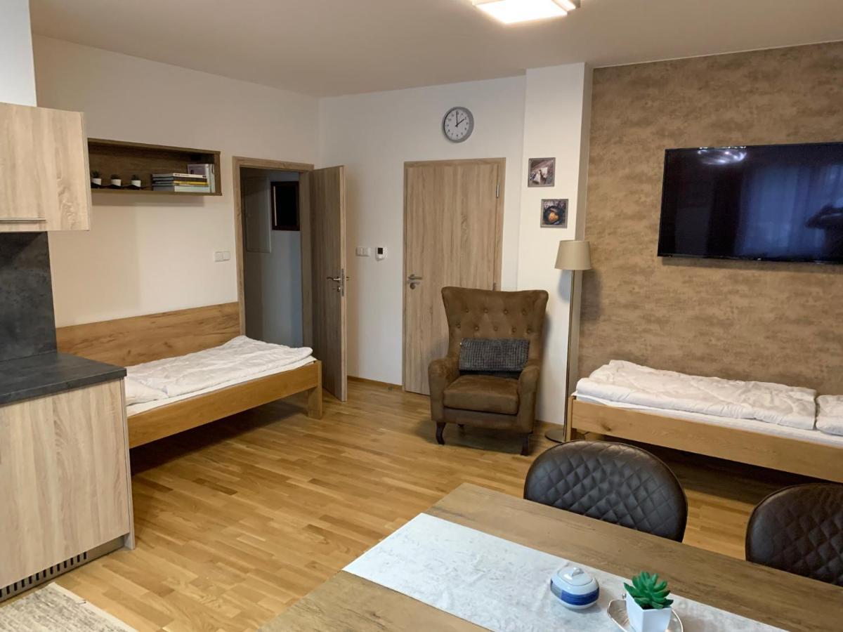 Železná Ruda Apartment Rezidence - Javor & Wellness מראה חיצוני תמונה