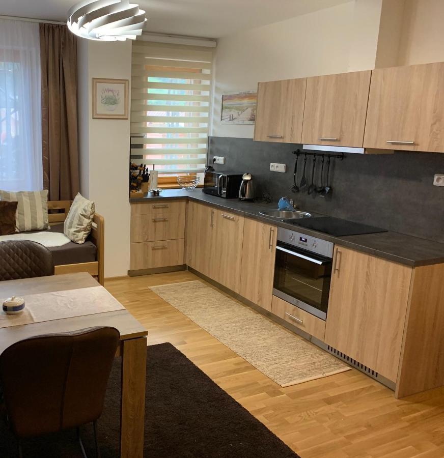 Železná Ruda Apartment Rezidence - Javor & Wellness מראה חיצוני תמונה